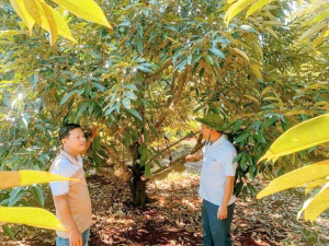 z7478562644891 e2690cc8258044c7a3e3be82f049ab7b